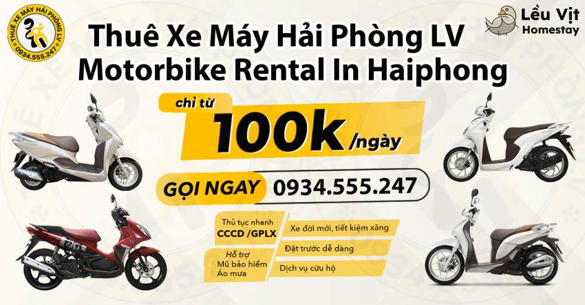 Liên hệ thuê xe máy 50cc tại Hải Phòng cùng Thuê Xe Máy Hải Phòng LV